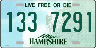 NH license plate 1337291