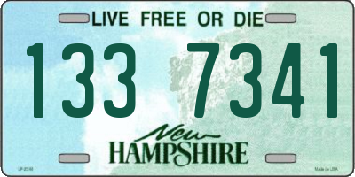 NH license plate 1337341