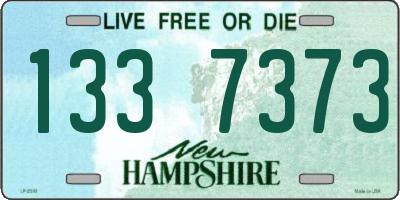 NH license plate 1337373