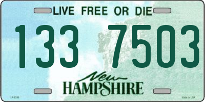 NH license plate 1337503