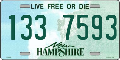 NH license plate 1337593