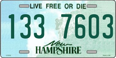 NH license plate 1337603