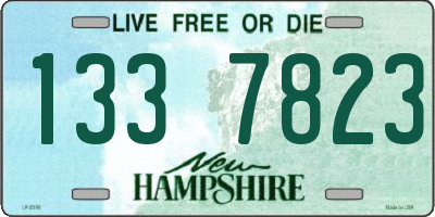 NH license plate 1337823