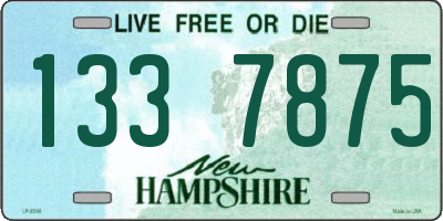 NH license plate 1337875