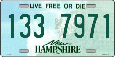 NH license plate 1337971
