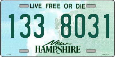 NH license plate 1338031