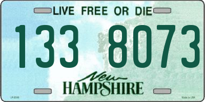 NH license plate 1338073
