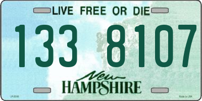 NH license plate 1338107