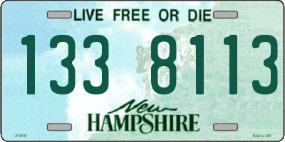 NH license plate 1338113