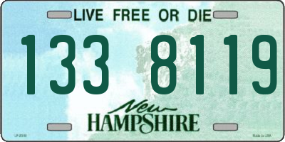 NH license plate 1338119