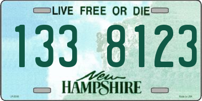 NH license plate 1338123
