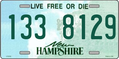 NH license plate 1338129