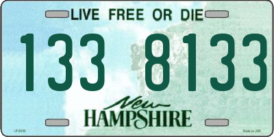 NH license plate 1338133