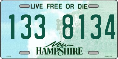 NH license plate 1338134