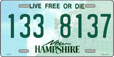 NH license plate 1338137