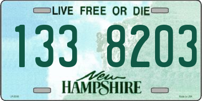 NH license plate 1338203