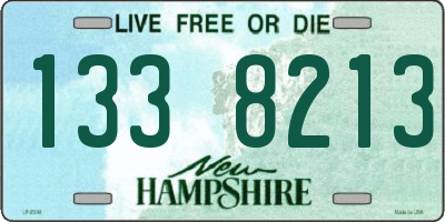NH license plate 1338213
