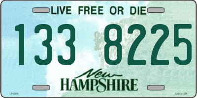 NH license plate 1338225