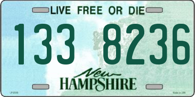 NH license plate 1338236
