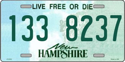 NH license plate 1338237