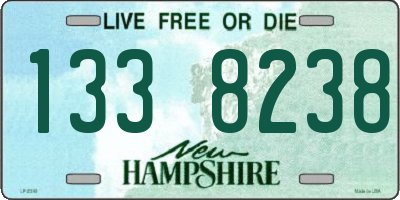 NH license plate 1338238