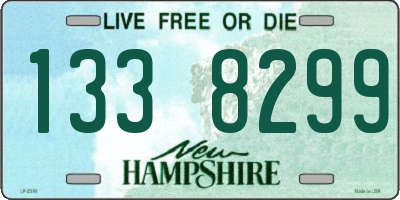 NH license plate 1338299