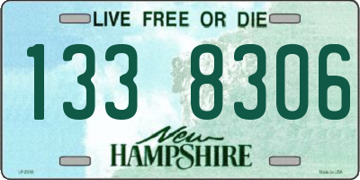 NH license plate 1338306