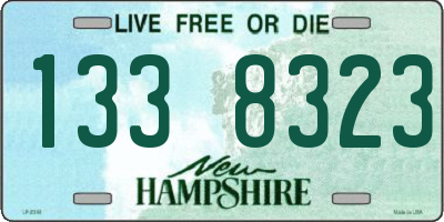 NH license plate 1338323