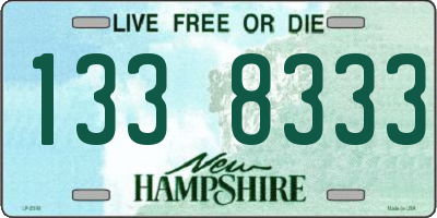 NH license plate 1338333