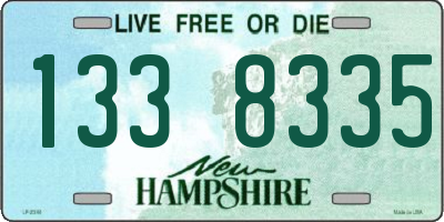 NH license plate 1338335