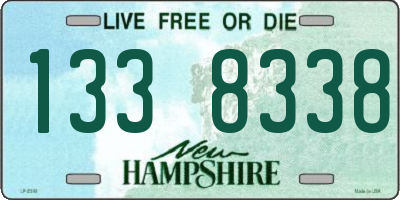 NH license plate 1338338