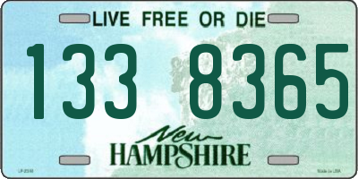 NH license plate 1338365