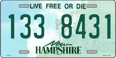NH license plate 1338431