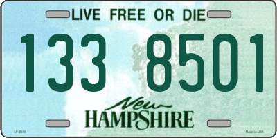 NH license plate 1338501