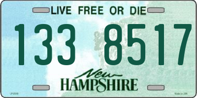 NH license plate 1338517