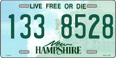 NH license plate 1338528