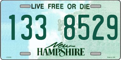 NH license plate 1338529
