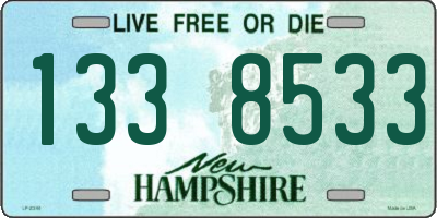 NH license plate 1338533
