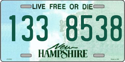 NH license plate 1338538