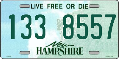 NH license plate 1338557
