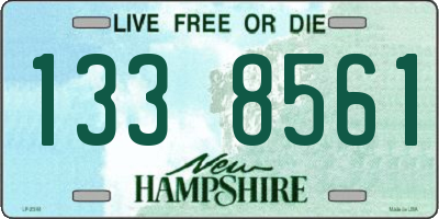NH license plate 1338561