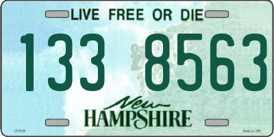 NH license plate 1338563