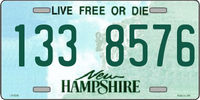 NH license plate 1338576
