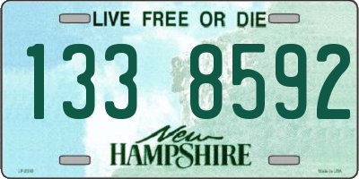 NH license plate 1338592
