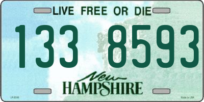 NH license plate 1338593