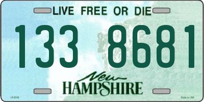 NH license plate 1338681