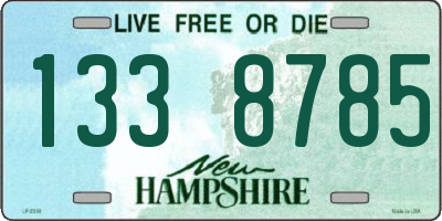 NH license plate 1338785