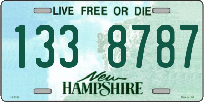 NH license plate 1338787