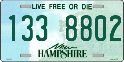 NH license plate 1338802