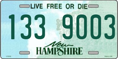 NH license plate 1339003